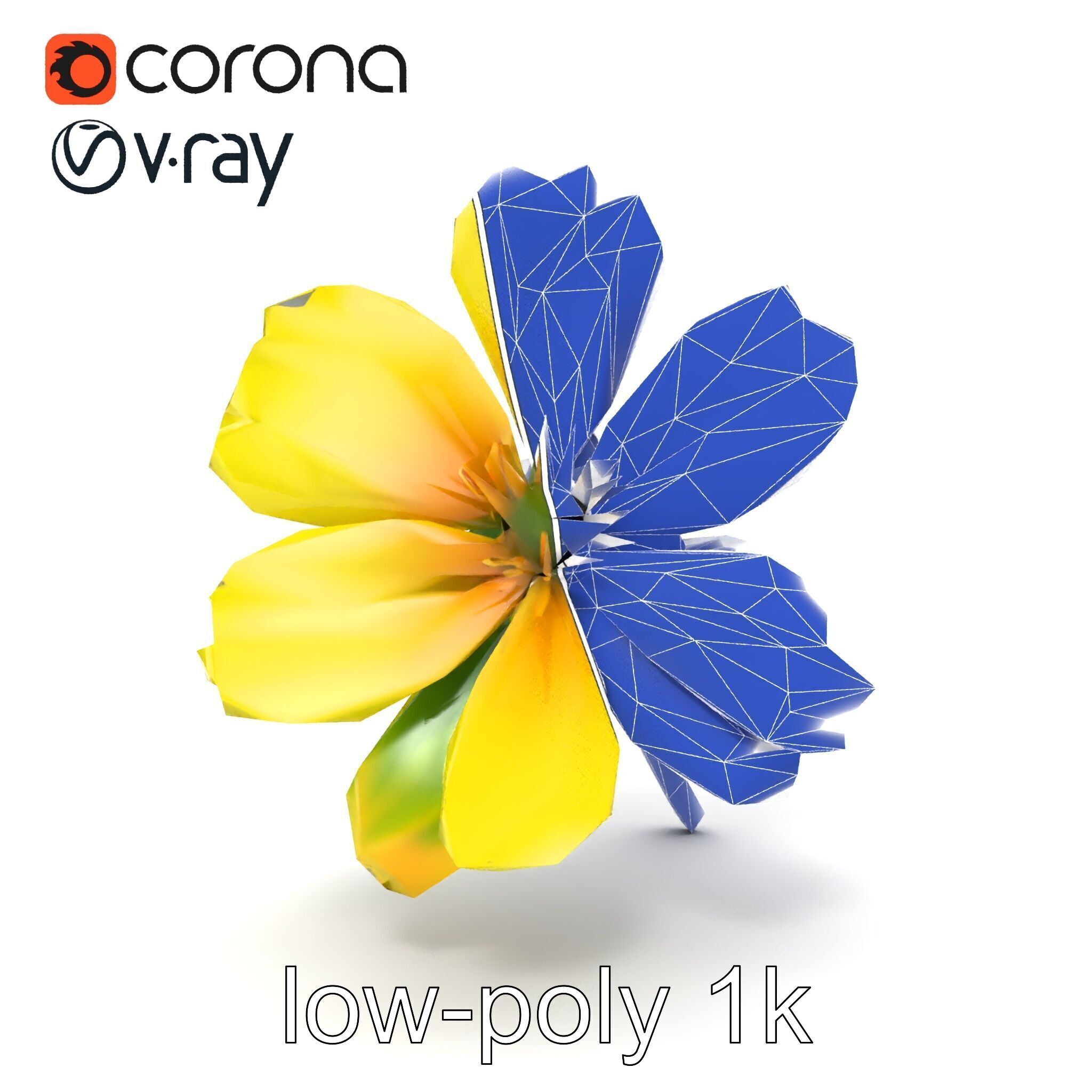 Yellow Clover Flower Botanical model pack Low-poly 3D model_19