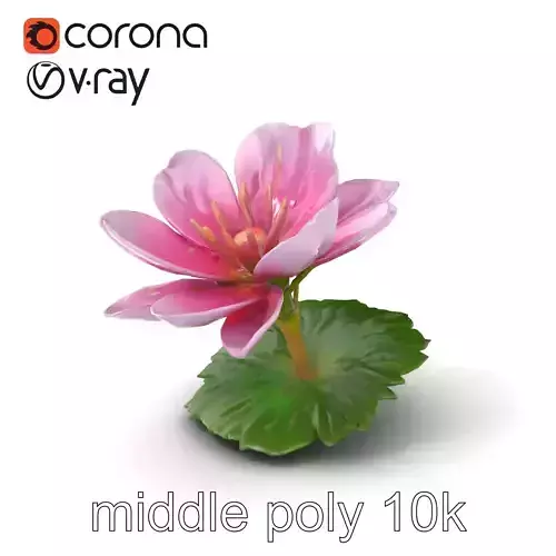 Soft Pink Clover Flower Plant model pack Low-poly 3D model