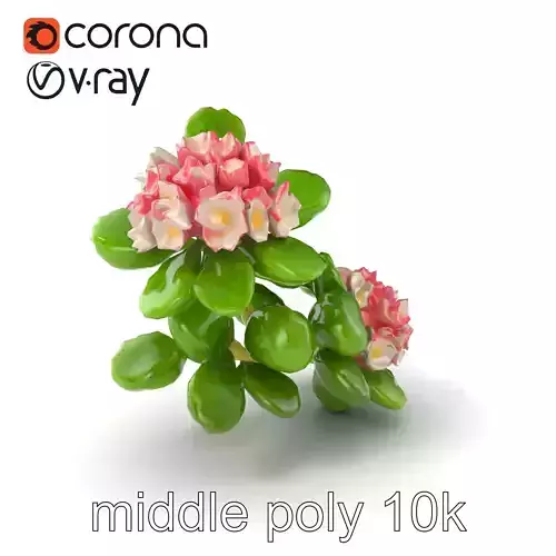 Double Clover Blossom Intricate Detail model pack Low-poly 3D model