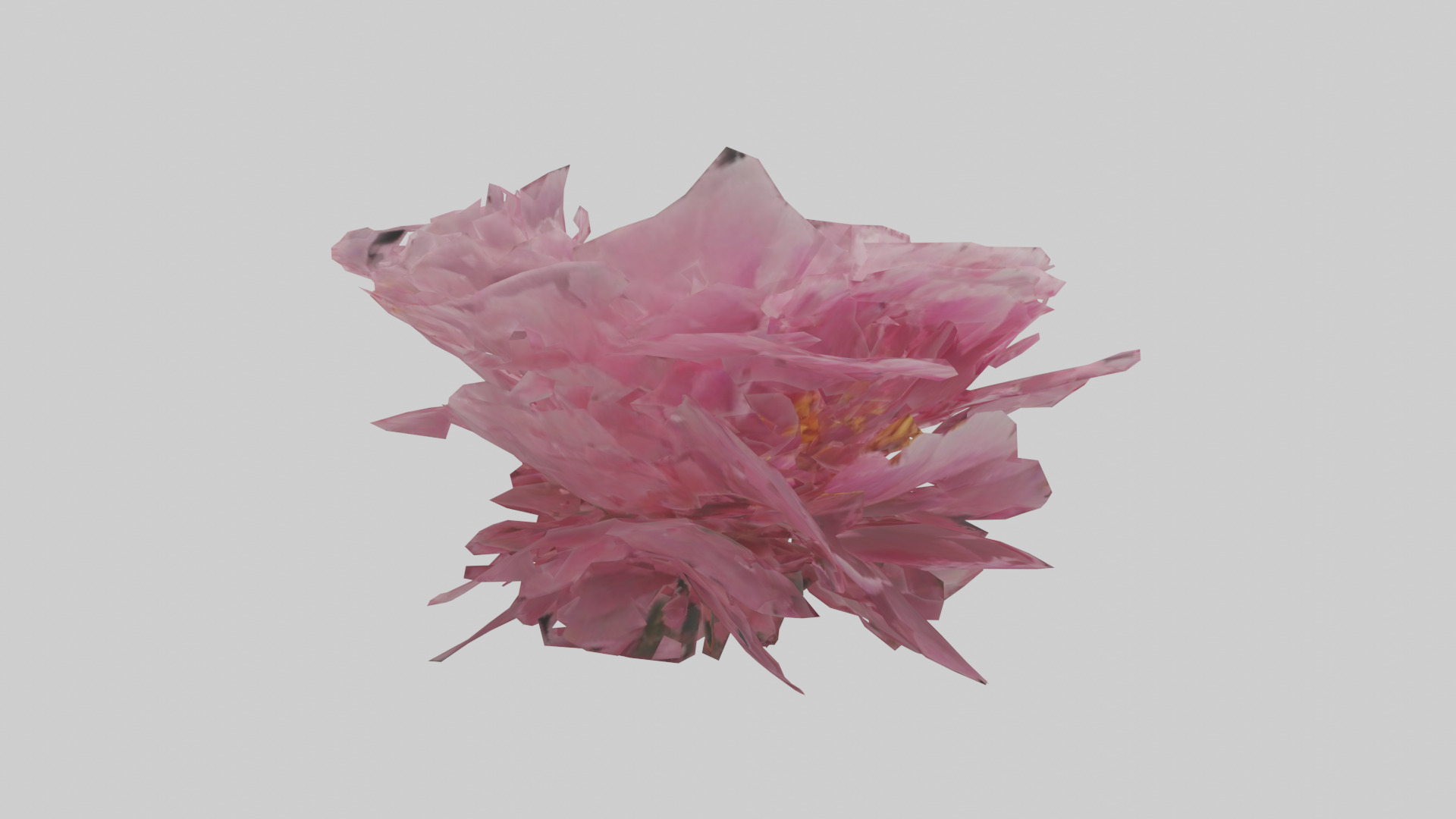Peony model Low-poly 3D model_7
