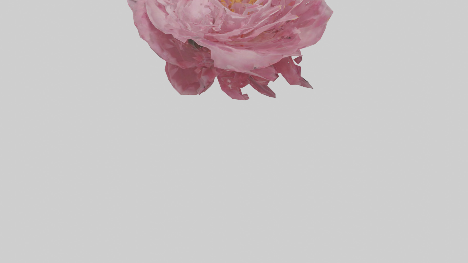 Peony model Low-poly 3D model_3
