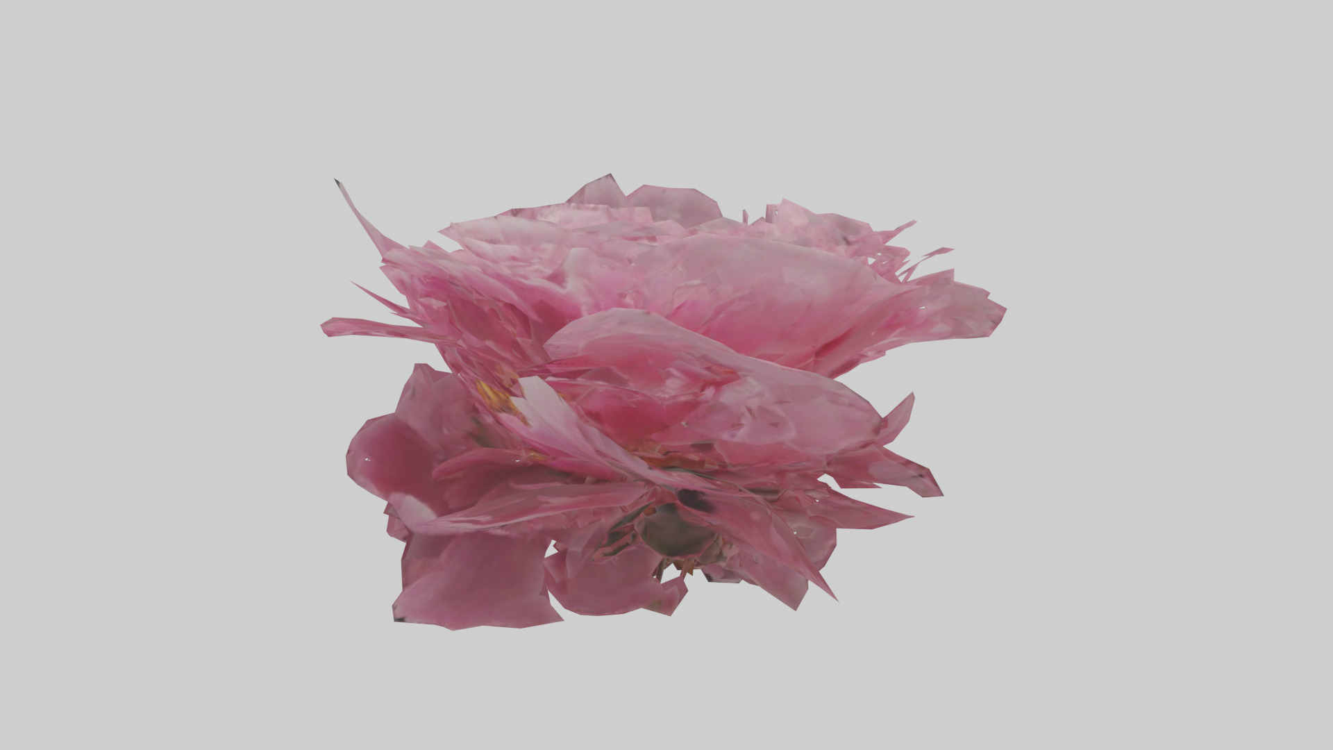 Peony model Low-poly 3D model_10