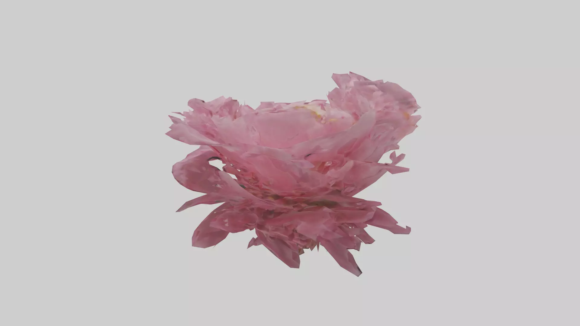 Peony model Low-poly 3D model_0