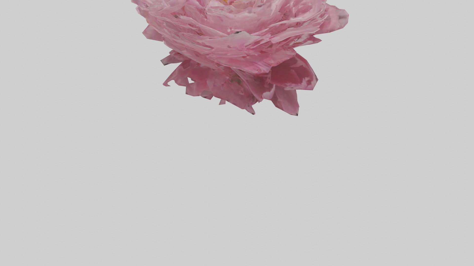 Peony model Low-poly 3D model_6