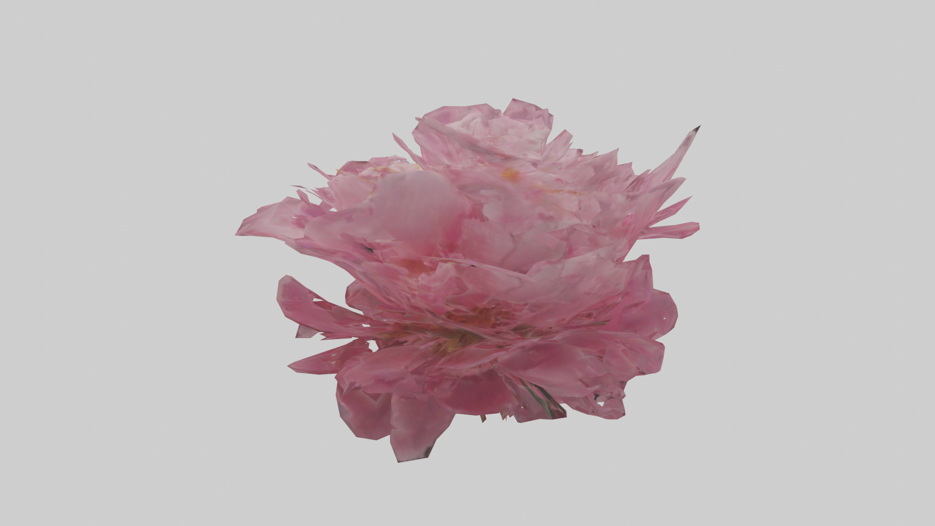 Peony model Low-poly 3D model_2
