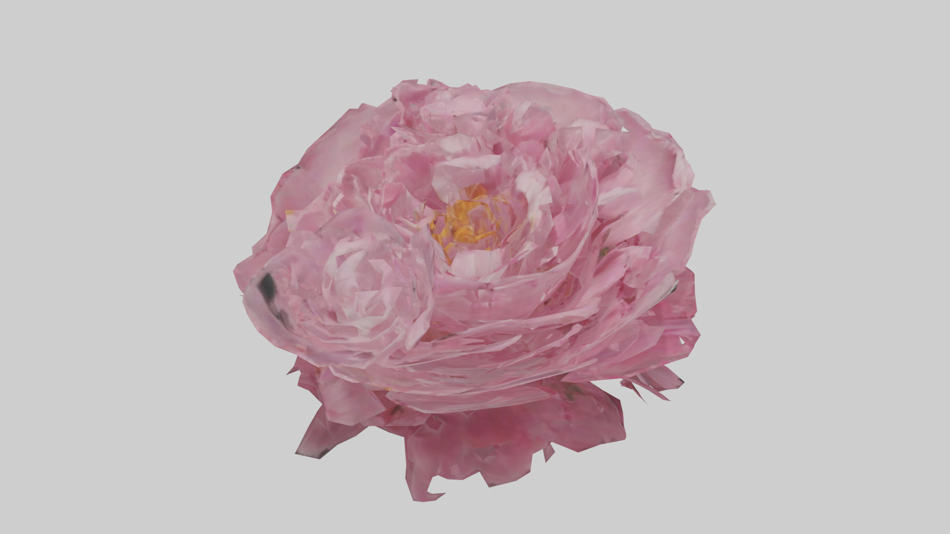 Peony model Low-poly 3D model_18