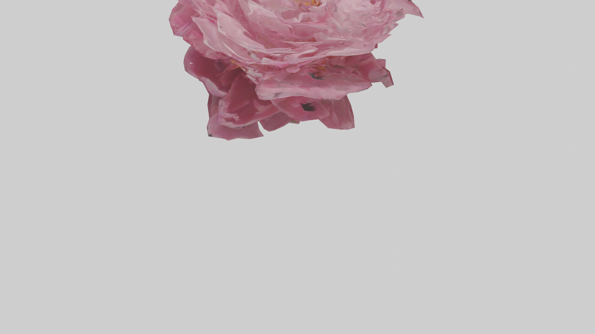 Peony model Low-poly 3D model_5