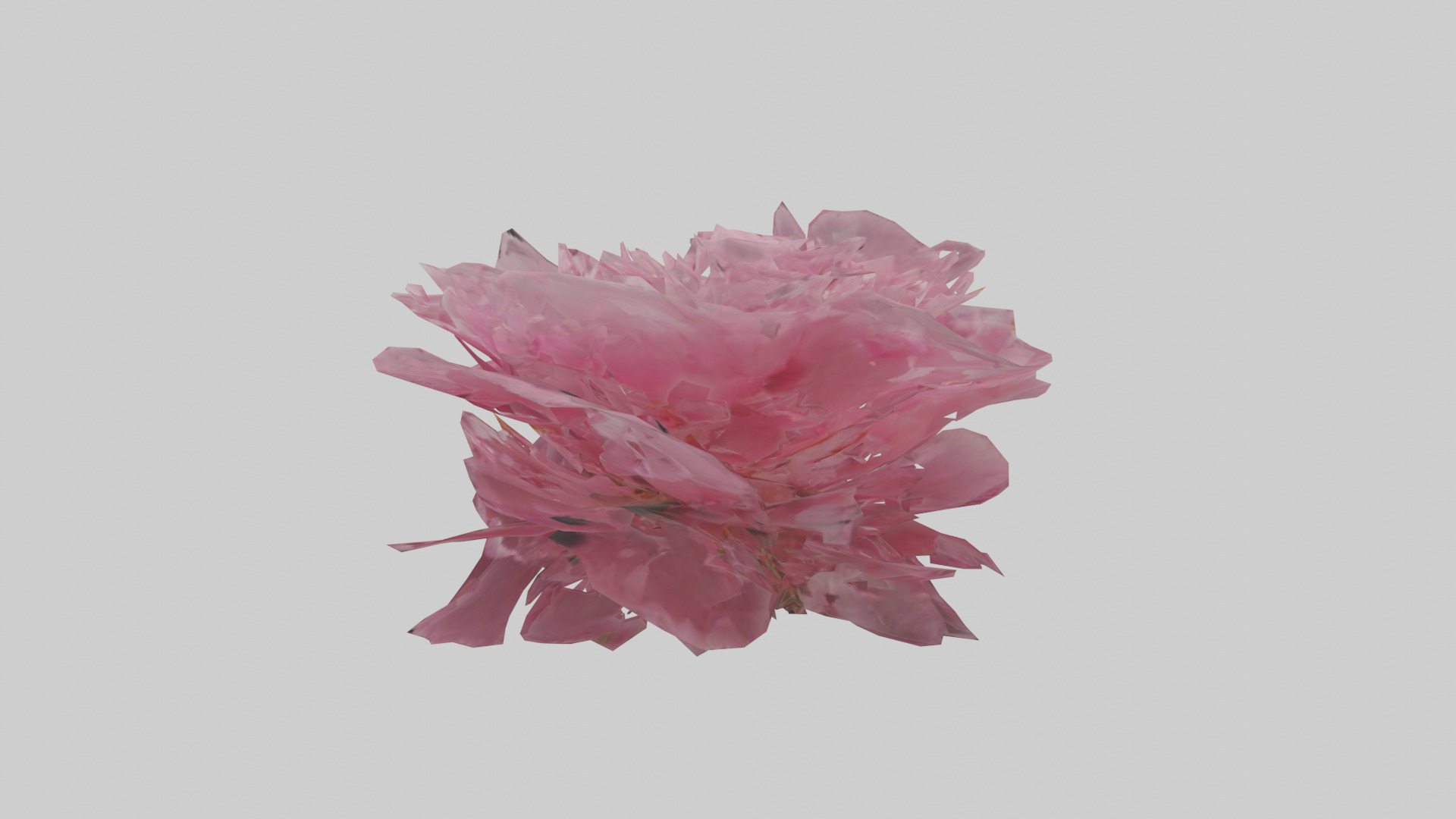 Peony model Low-poly 3D model_12
