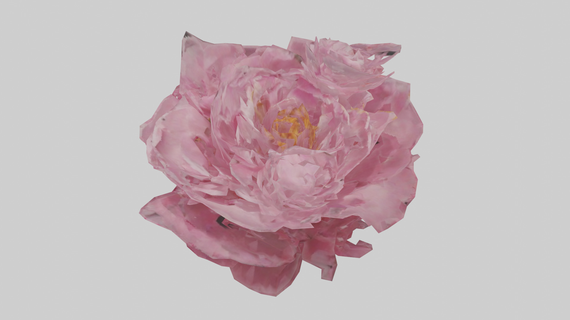 Peony model Low-poly 3D model_17