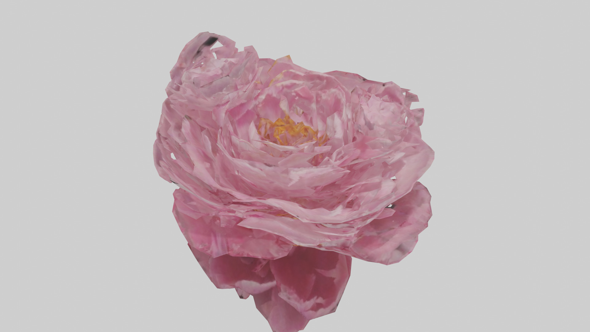 Peony model Low-poly 3D model_16