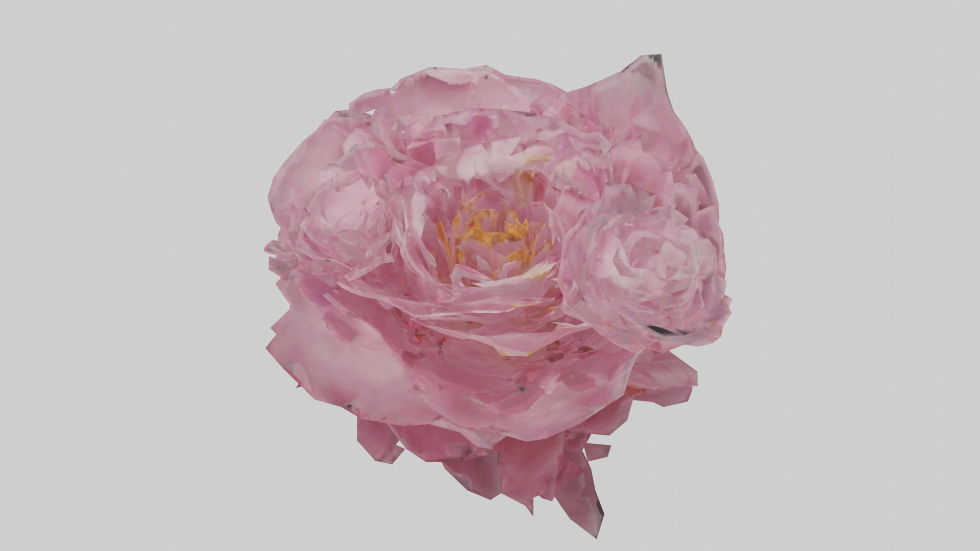 Peony model Low-poly 3D model_15