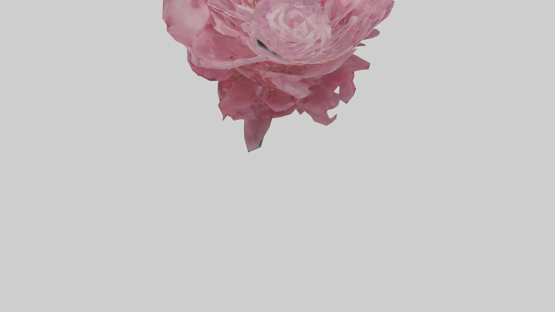 Peony model Low-poly 3D model_4