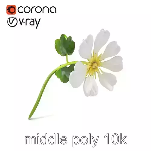 White Clover Plant Nature Realistic Textures model pack Low-poly 3D model