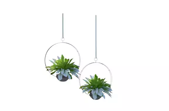 Hanging plant 3d model  3D print model