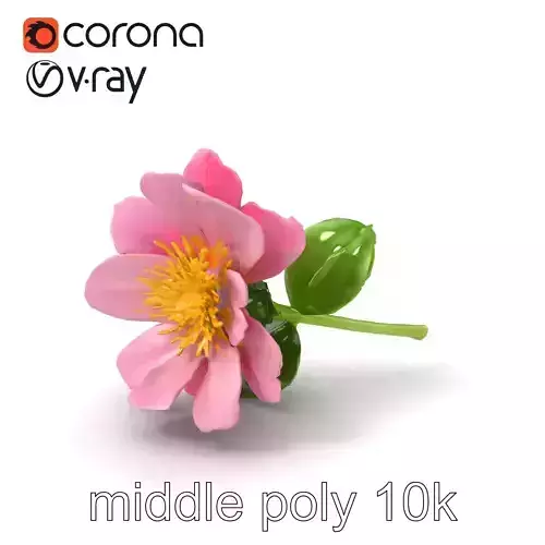 Pink Clover Botanical Detail model pack Low-poly 3D model