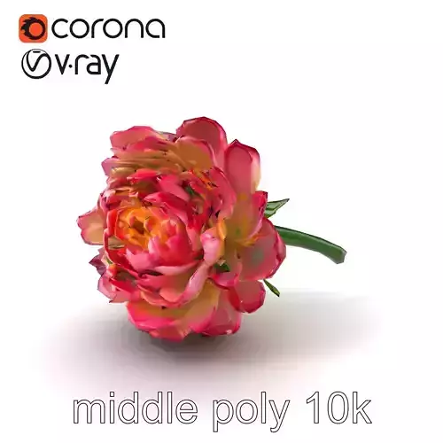 Ranunculus Flower Realistic Nature Model Pack