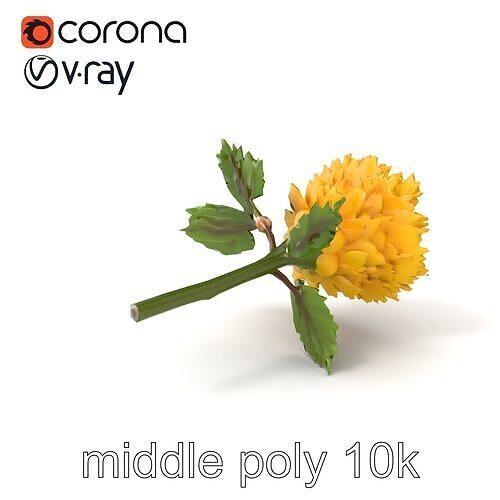 Yellow Ranunculus Flower Botanical model pack Low-poly 3D model