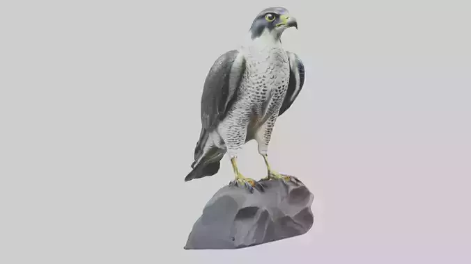 Peregrine Falcon statue model