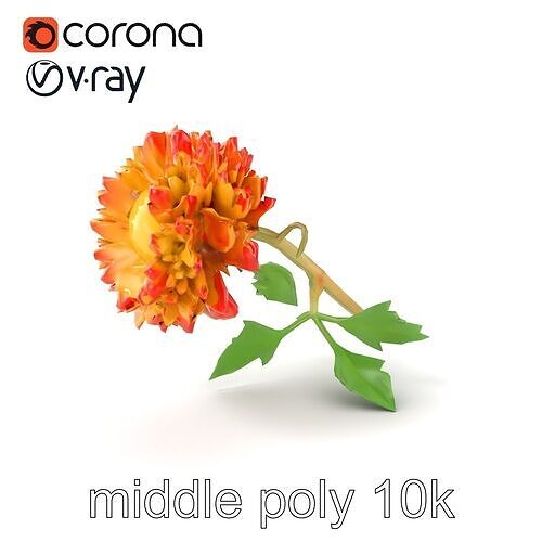 Ranunculus Minor Blossom Detailed Botanical model pack Low-poly 3D model