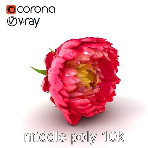 Ranunculus Flower Detailed Sculpture model pack Low-poly 3D model