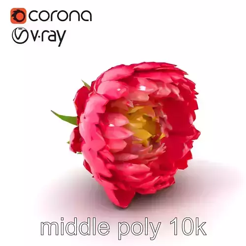 Ranunculus Flower Detailed Sculpture model pack