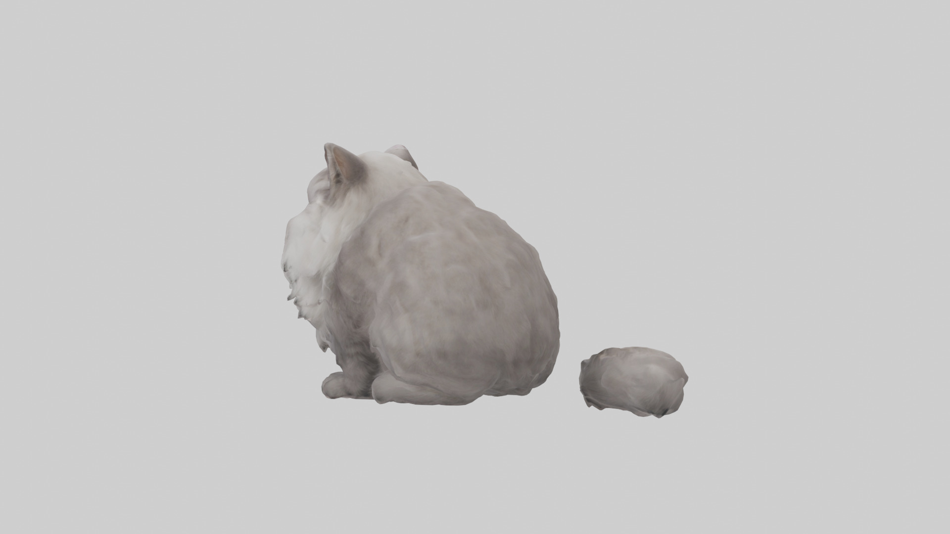Persian Cat grooming model Low-poly 3D model_1
