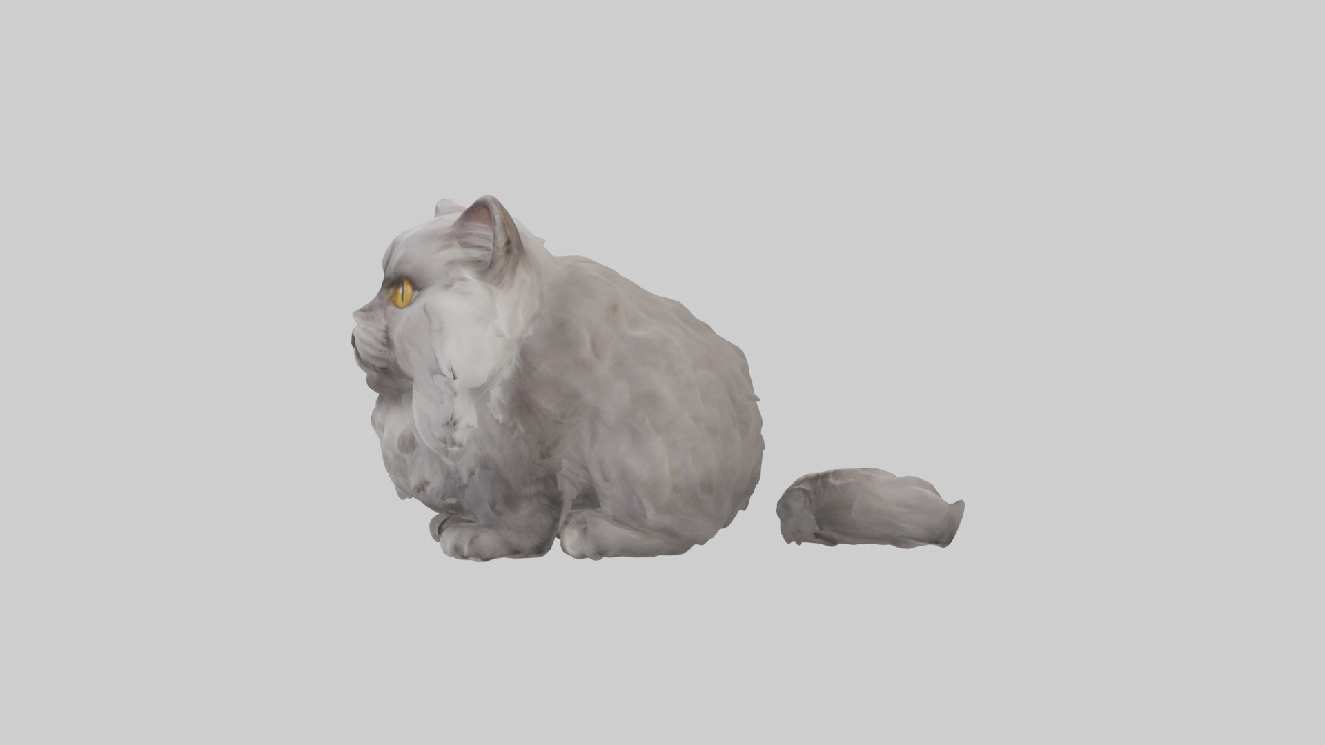 Persian Cat grooming model Low-poly 3D model_12