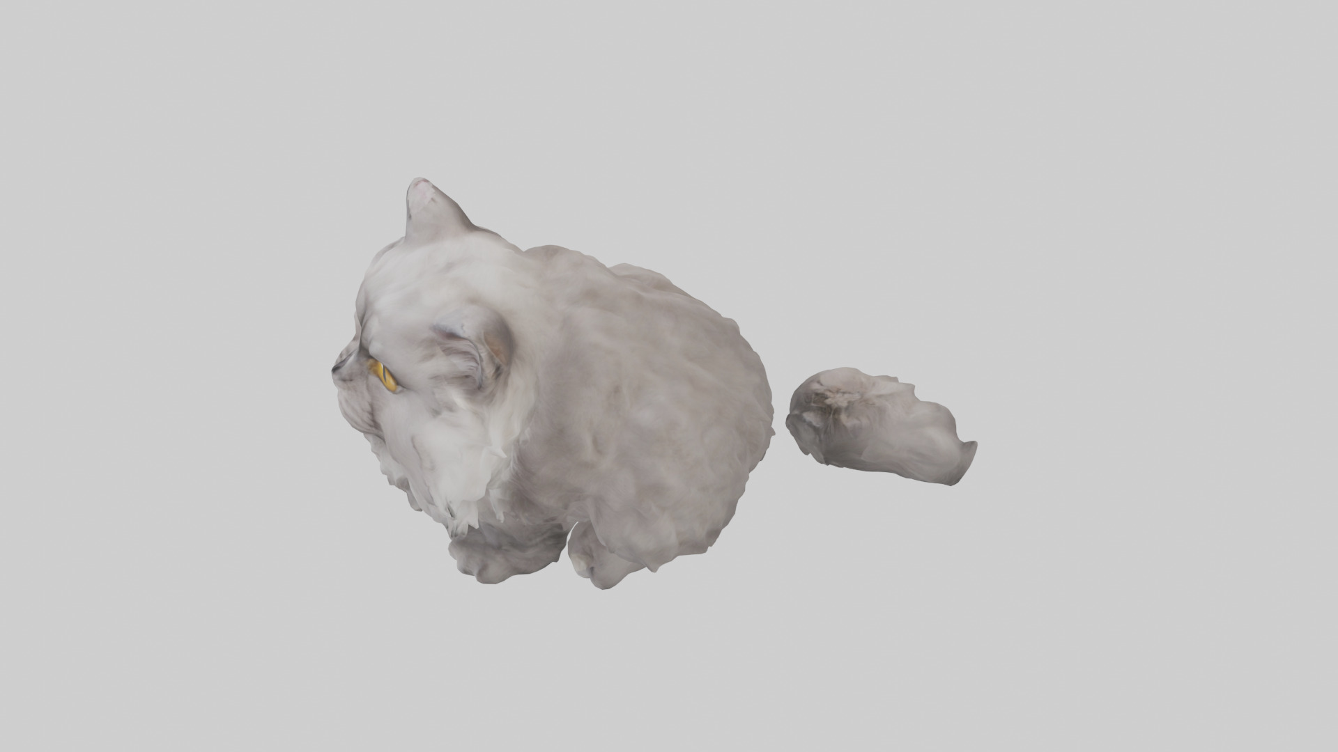 Persian Cat grooming model Low-poly 3D model_17