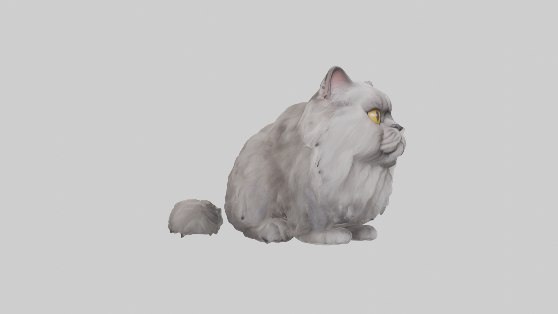 Persian Cat grooming model Low-poly 3D model_11