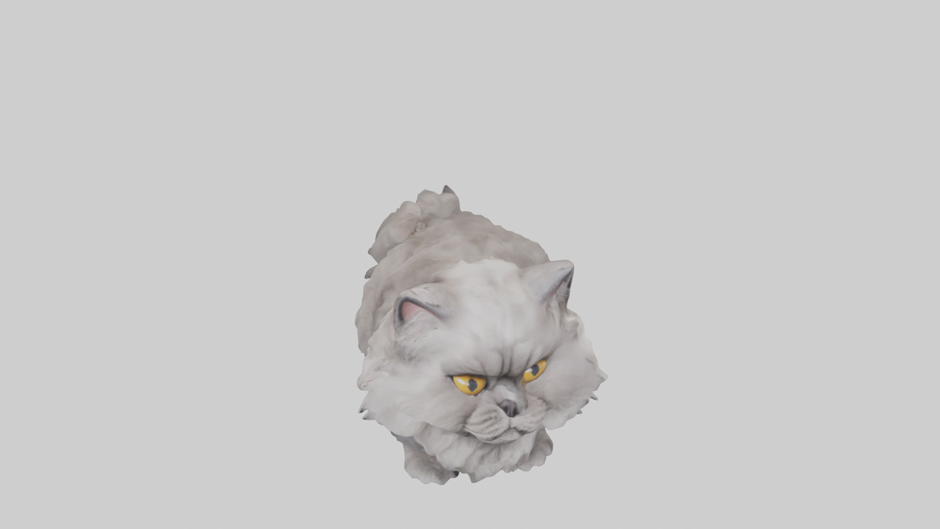 Persian Cat grooming model Low-poly 3D model_16