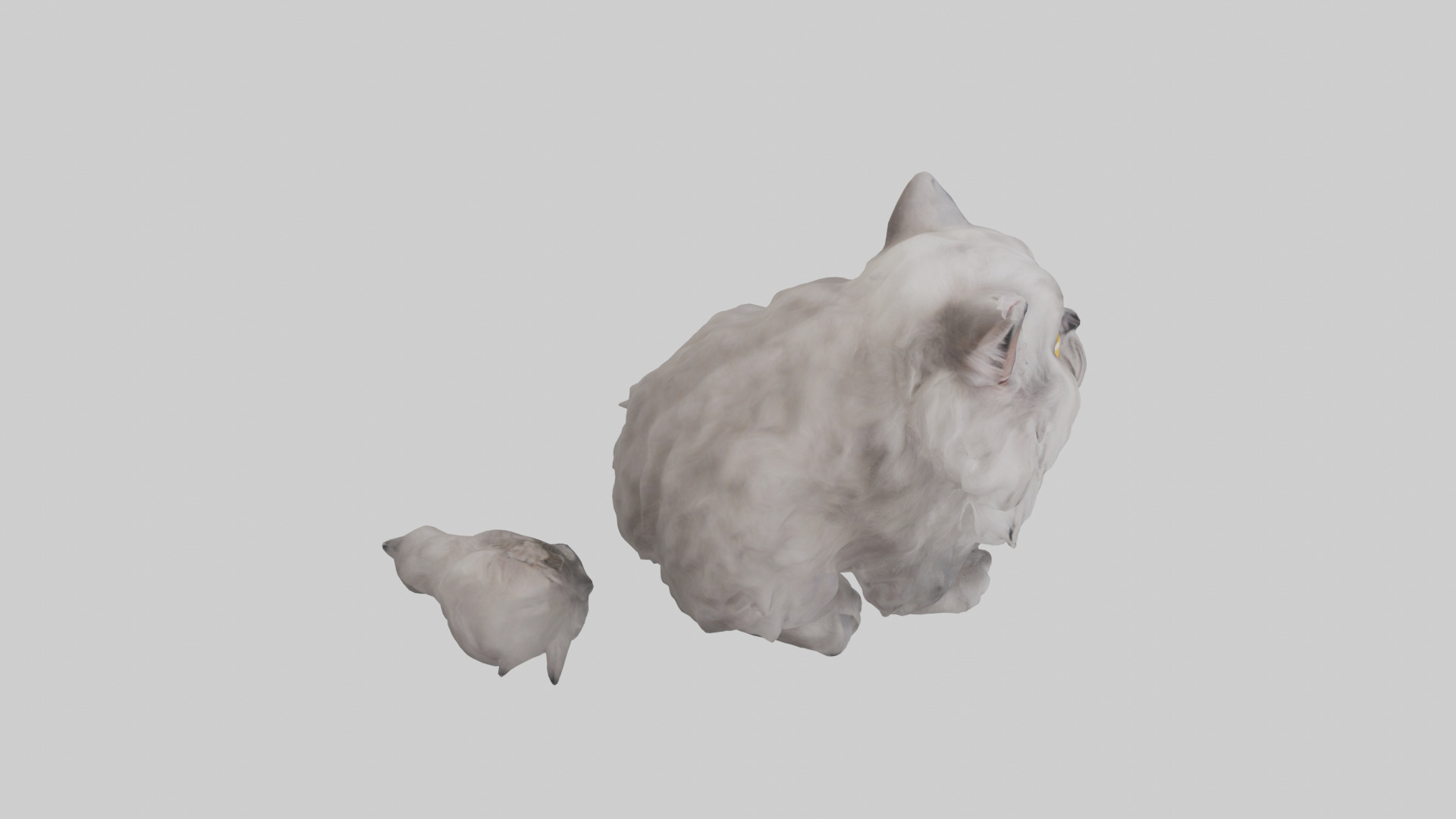Persian Cat grooming model Low-poly 3D model_18