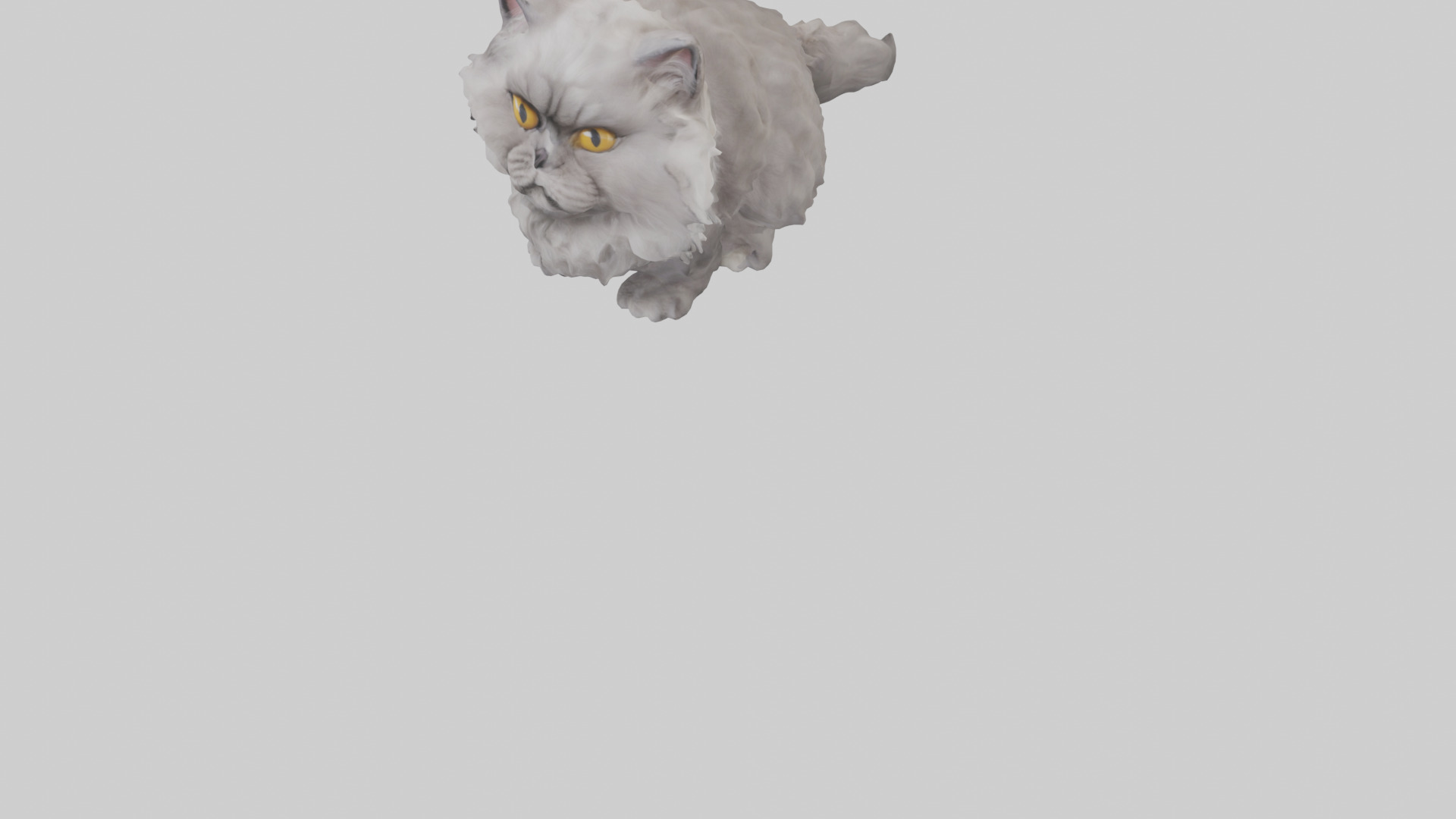 Persian Cat grooming model Low-poly 3D model_5