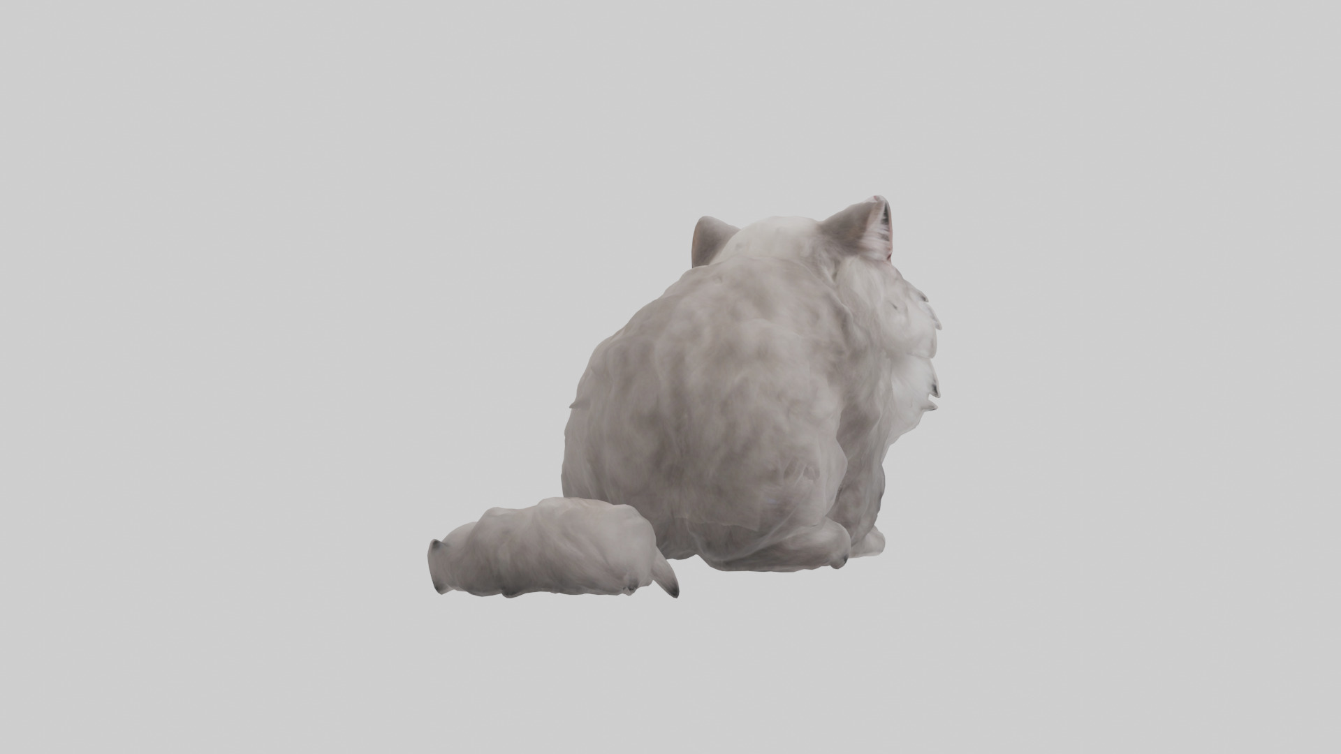 Persian Cat grooming model Low-poly 3D model_2