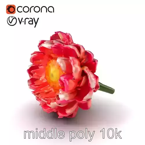 Vivid Ranunculus Flower Sculpture model pack