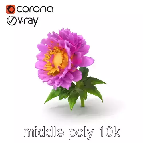 Ranunculus Purple Flower Detailed Model Pack