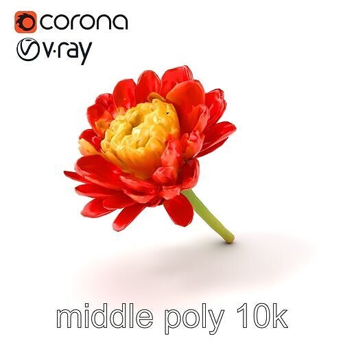 Vivid Red Ranunculus Flower 3D Model Pack Low-poly 3D model