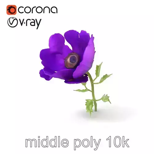 Papaver Purple Flower Model Pack Low-poly 3D model
