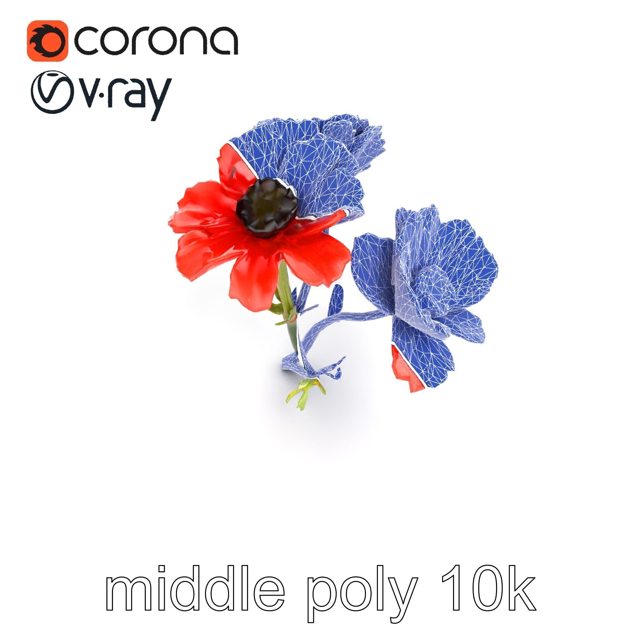 Papaver Minor Small Flower Model Pack Low-poly 3D model_22