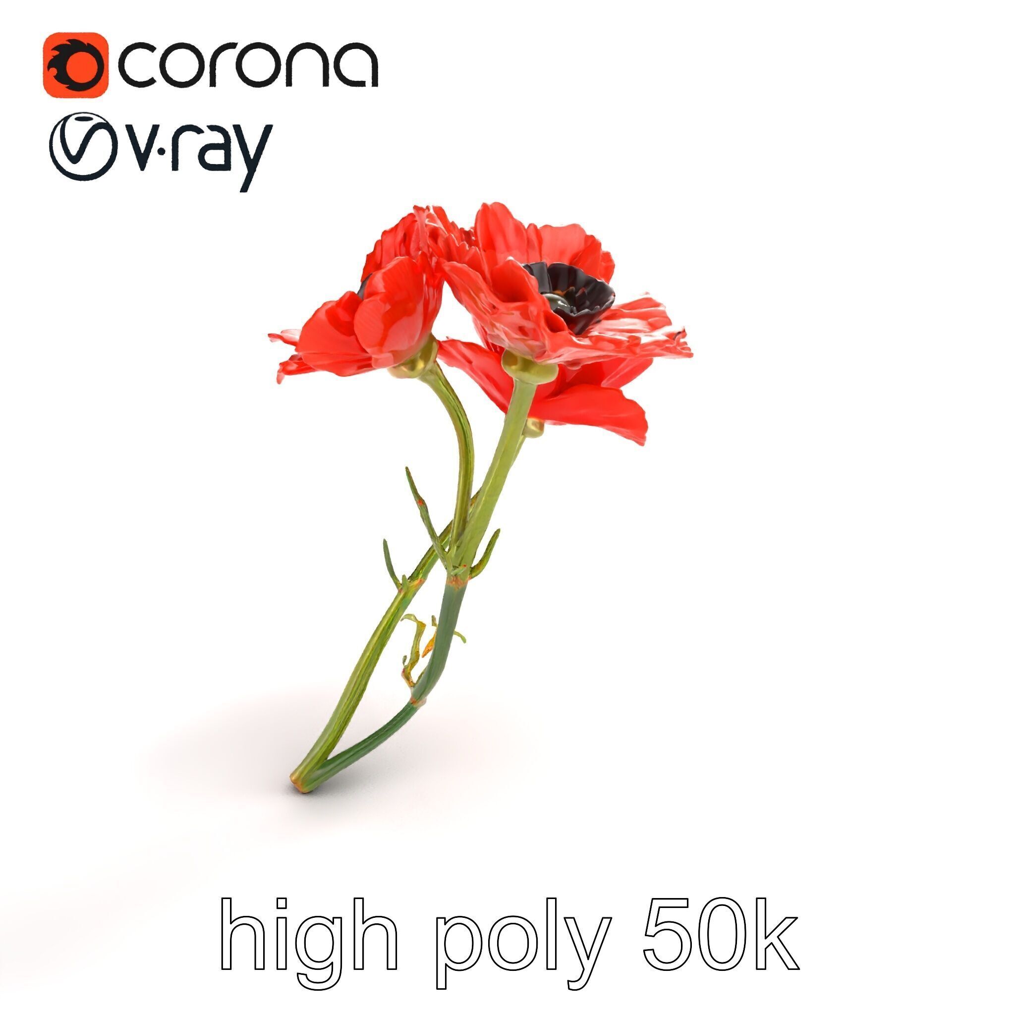 Papaver Minor Small Flower Model Pack Low-poly 3D model_9