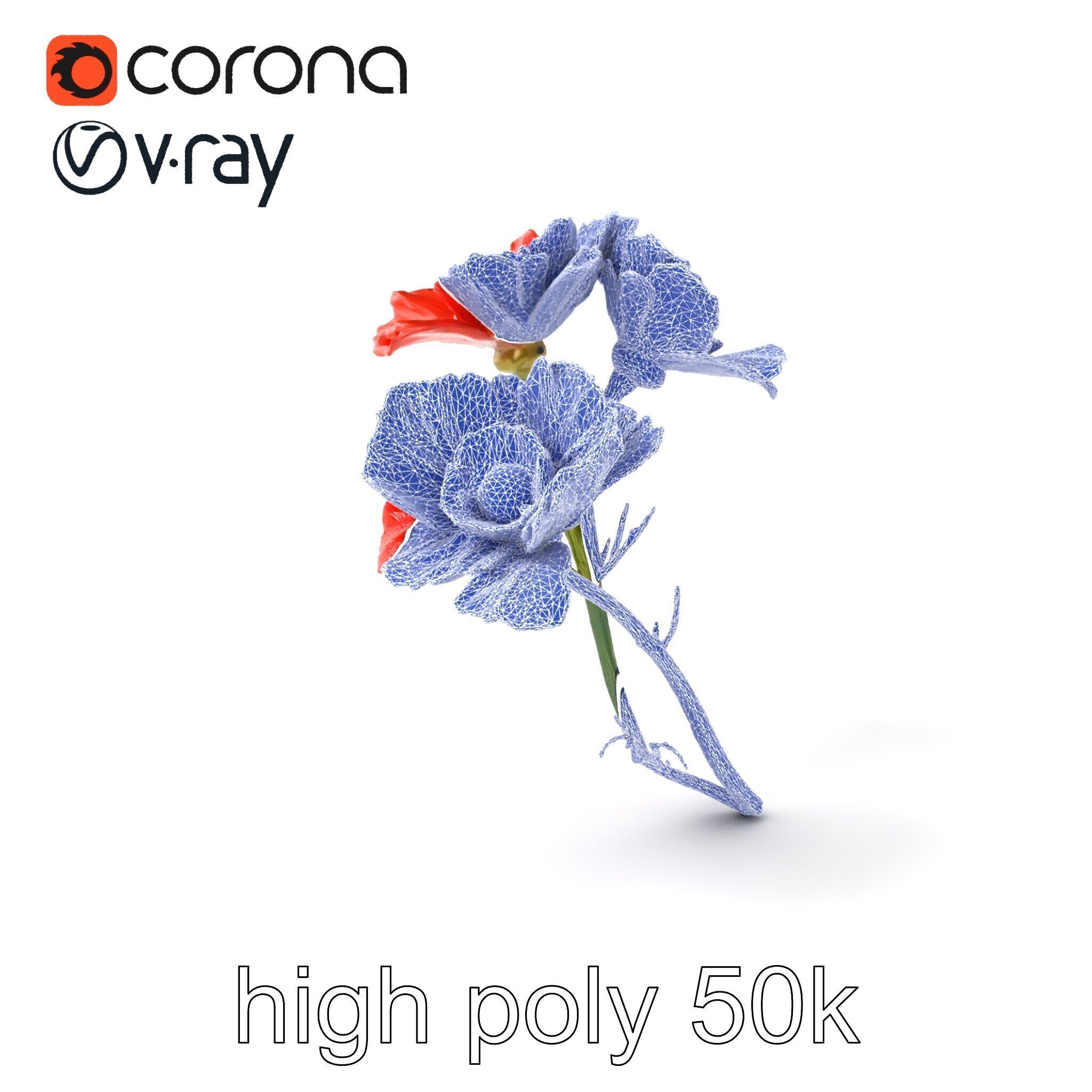 Papaver Minor Small Flower Model Pack Low-poly 3D model_1