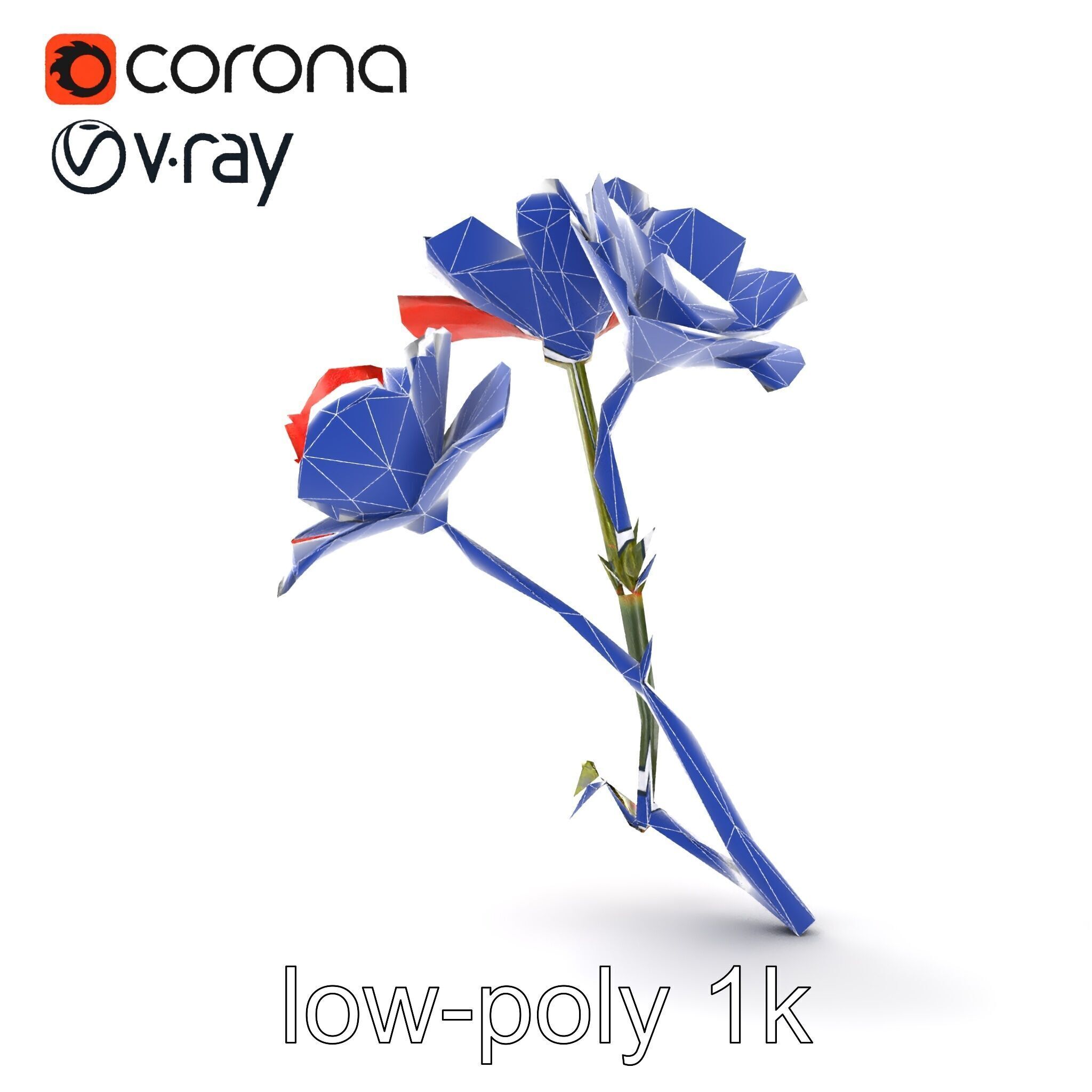Papaver Minor Small Flower Model Pack Low-poly 3D model_12