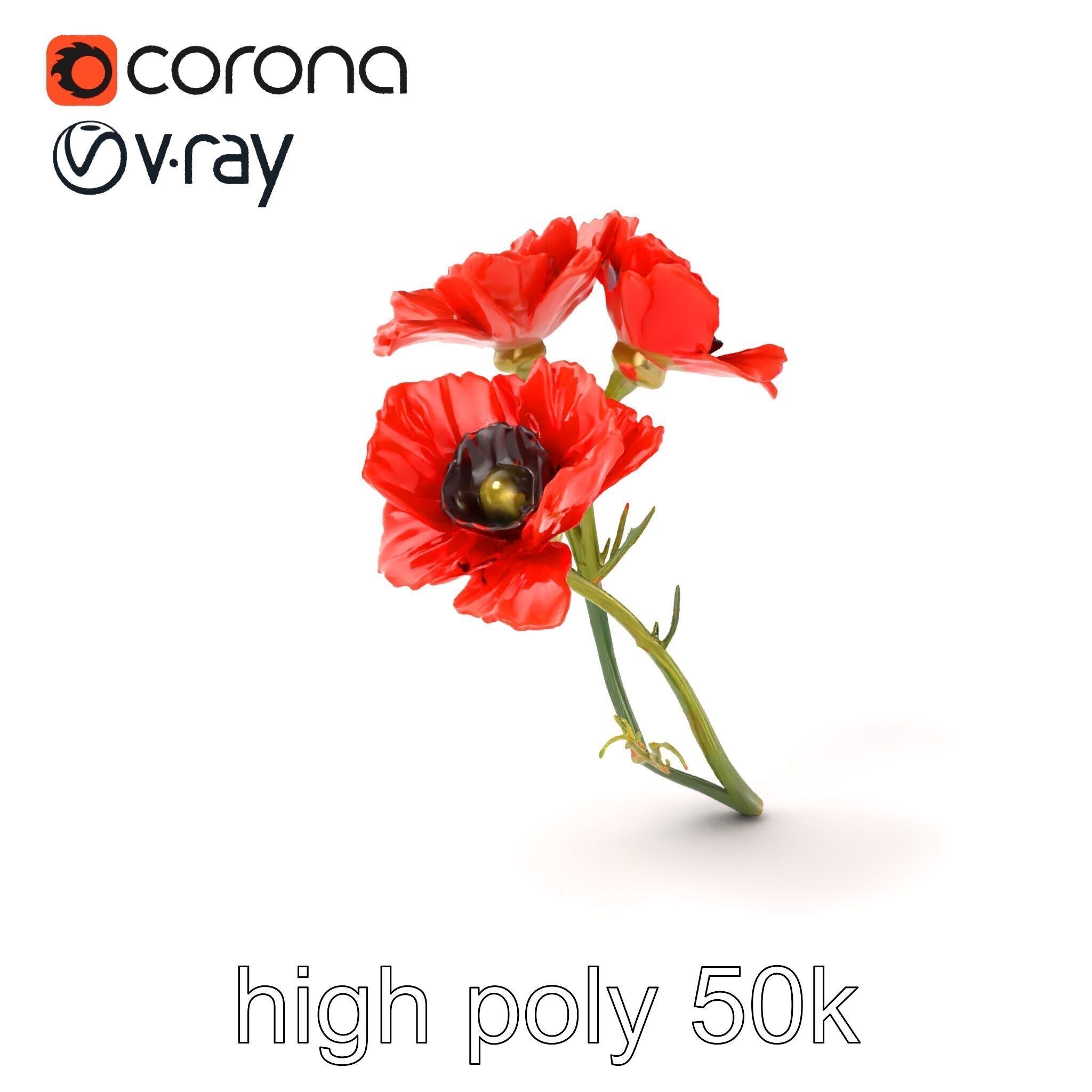 Papaver Minor Small Flower Model Pack Low-poly 3D model_2