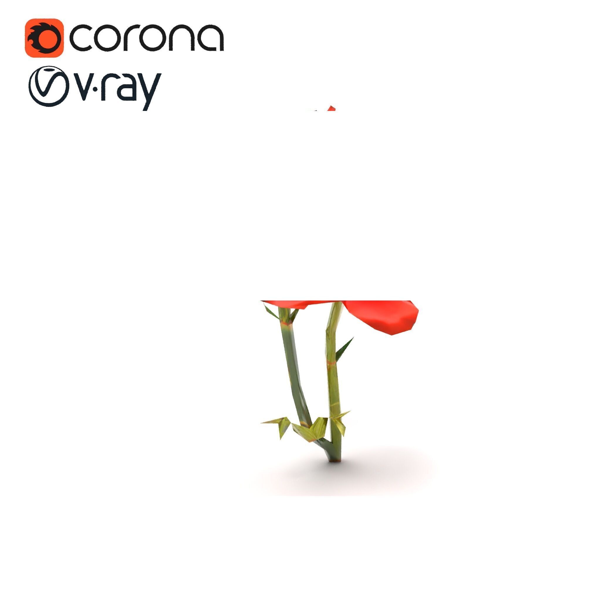 Papaver Minor Small Flower Model Pack Low-poly 3D model_25