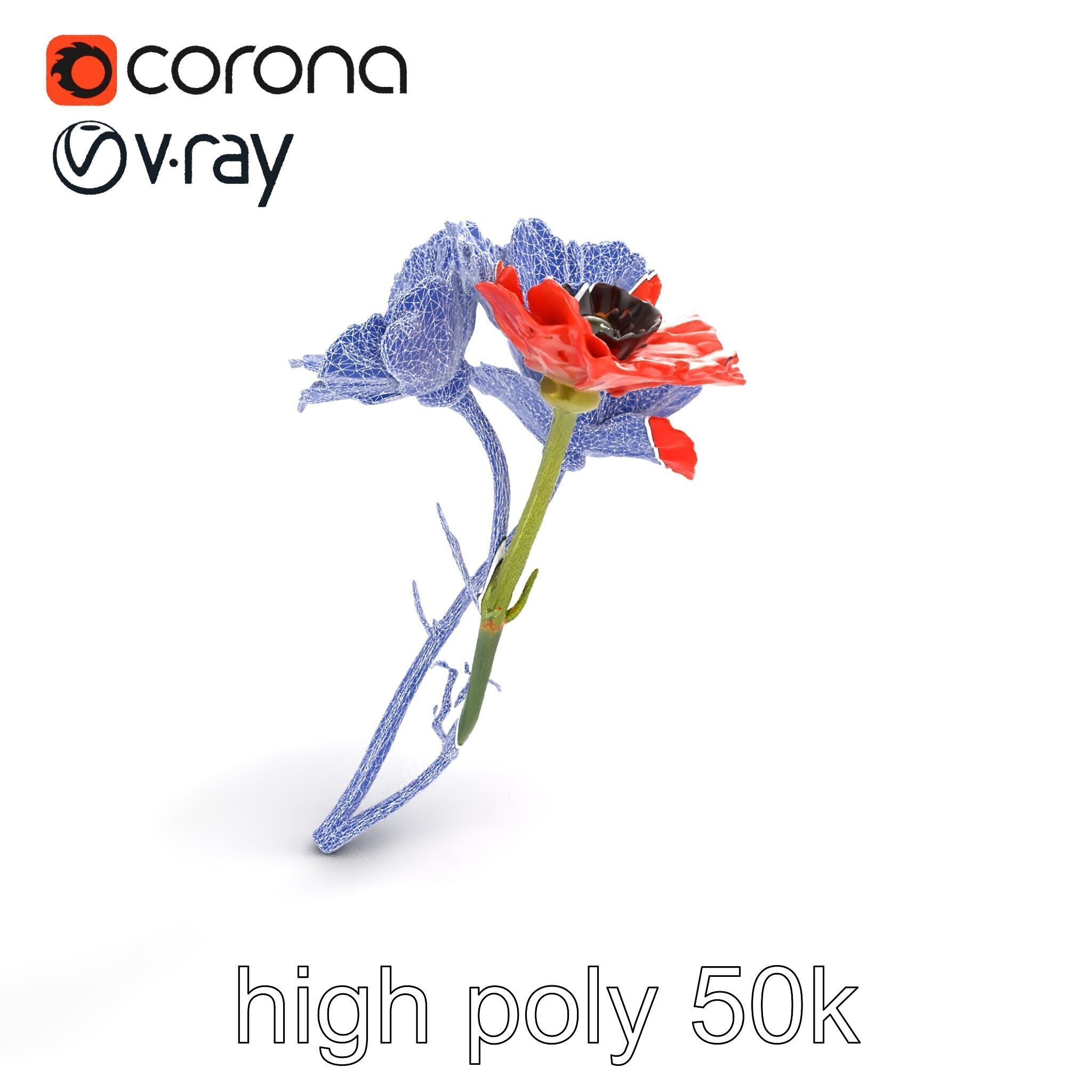 Papaver Minor Small Flower Model Pack Low-poly 3D model_13