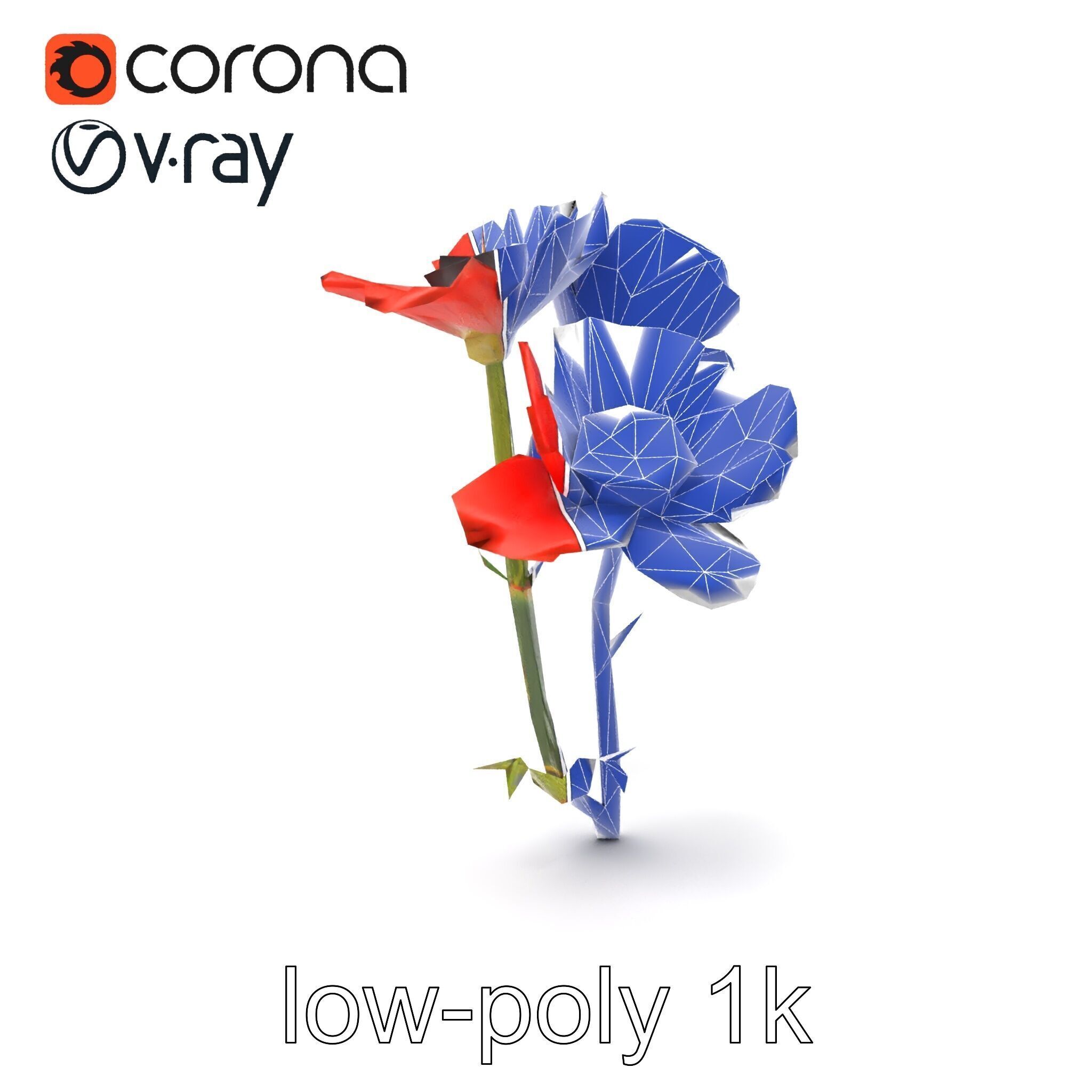Papaver Minor Small Flower Model Pack Low-poly 3D model_28