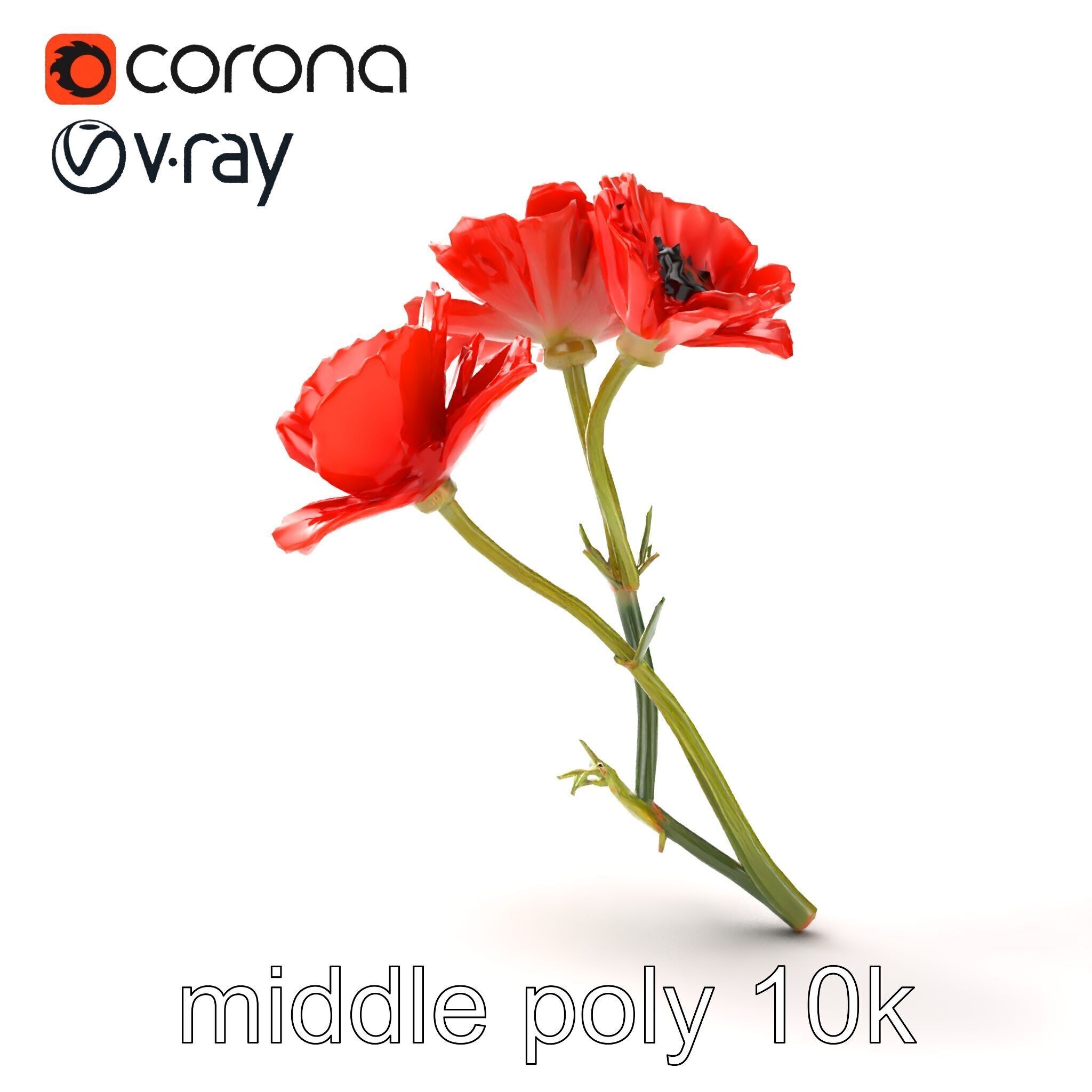 Papaver Minor Small Flower Model Pack Low-poly 3D model_30