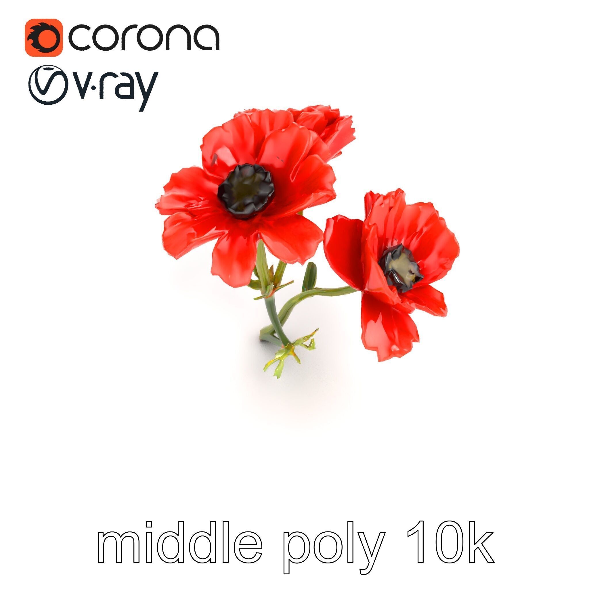 Papaver Minor Small Flower Model Pack Low-poly 3D model_10