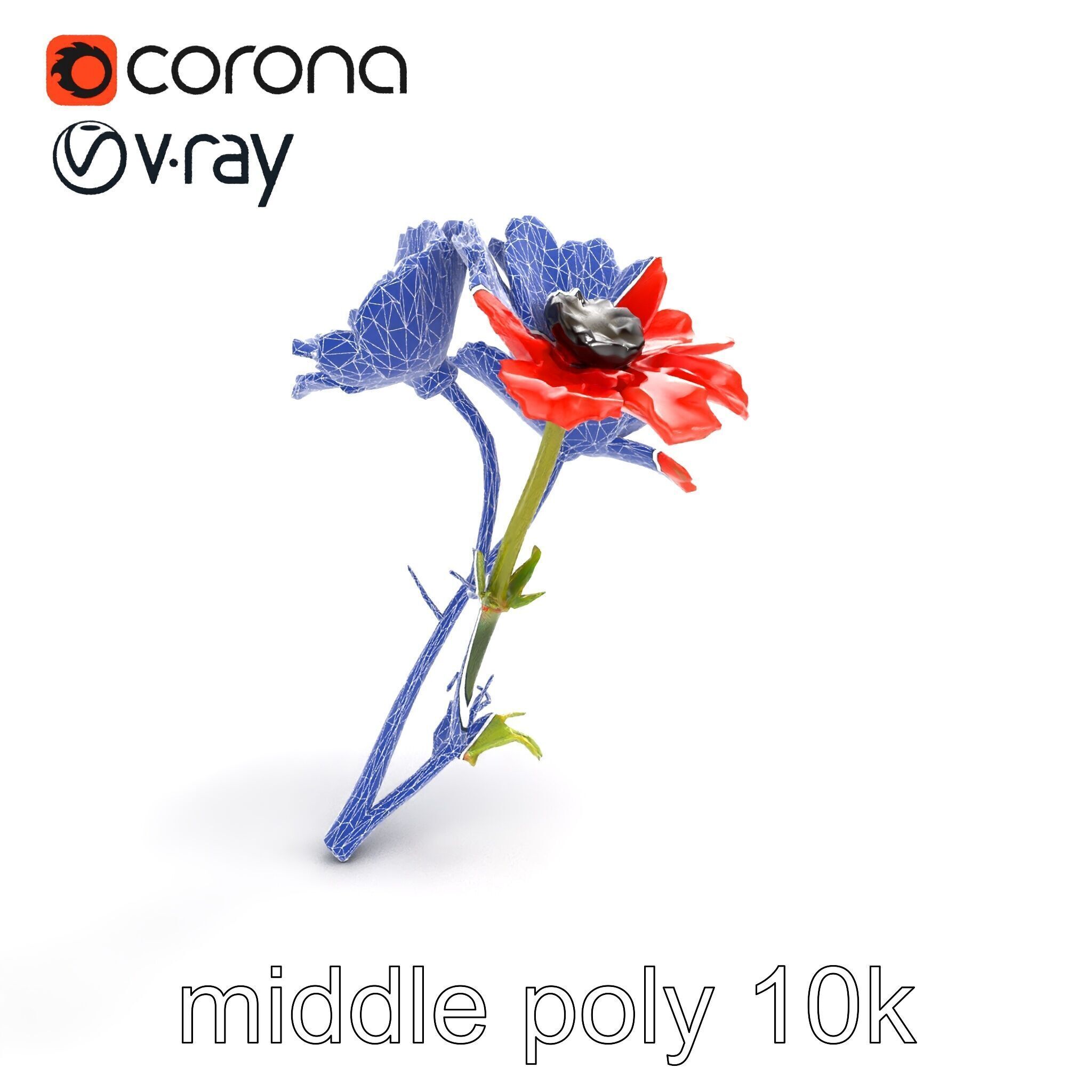 Papaver Minor Small Flower Model Pack Low-poly 3D model_15