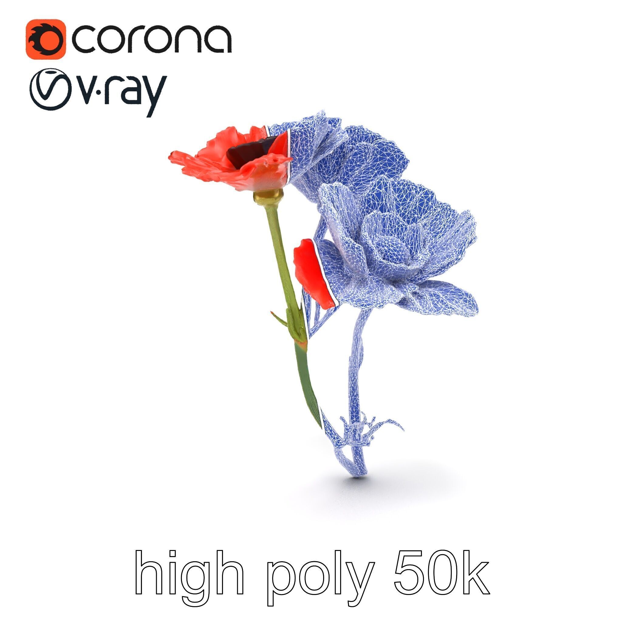 Papaver Minor Small Flower Model Pack Low-poly 3D model_14