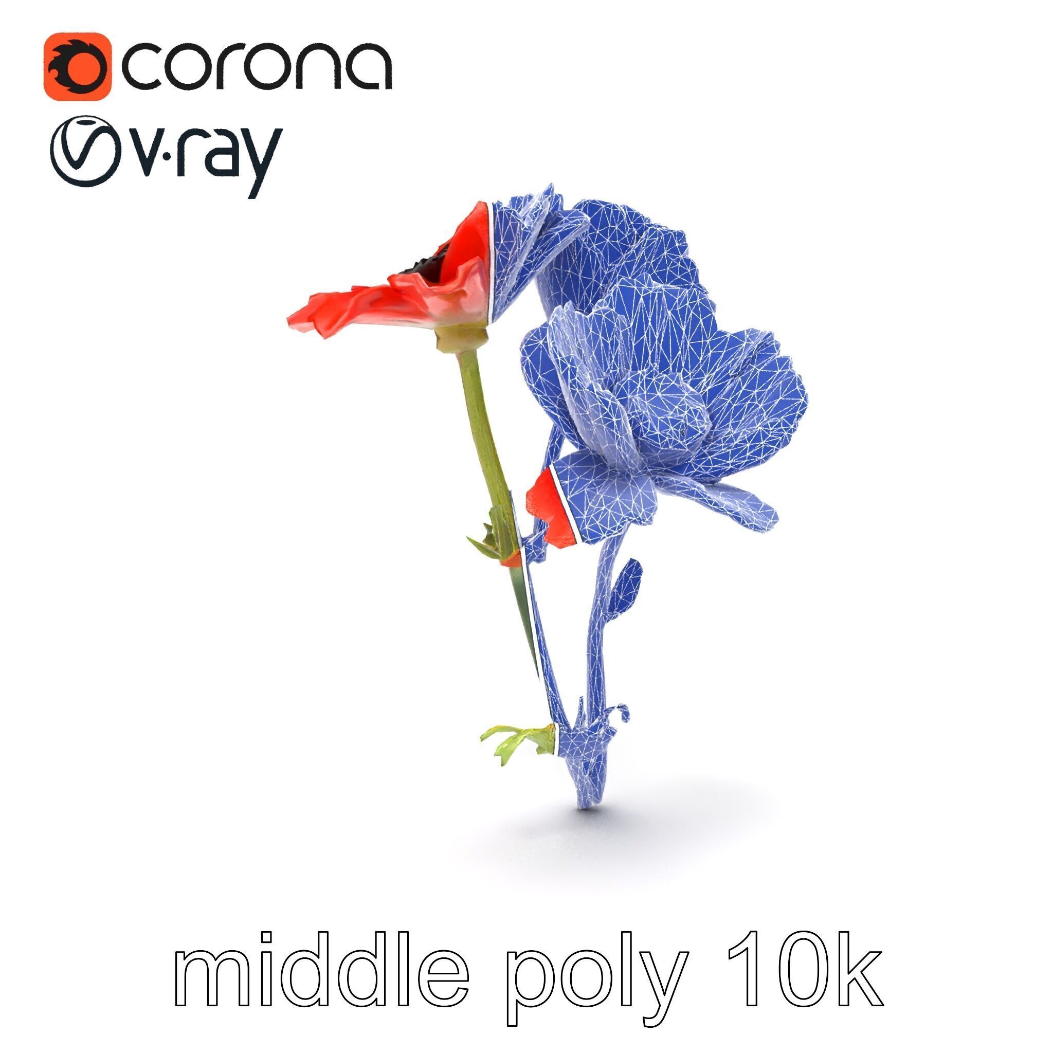 Papaver Minor Small Flower Model Pack Low-poly 3D model_20